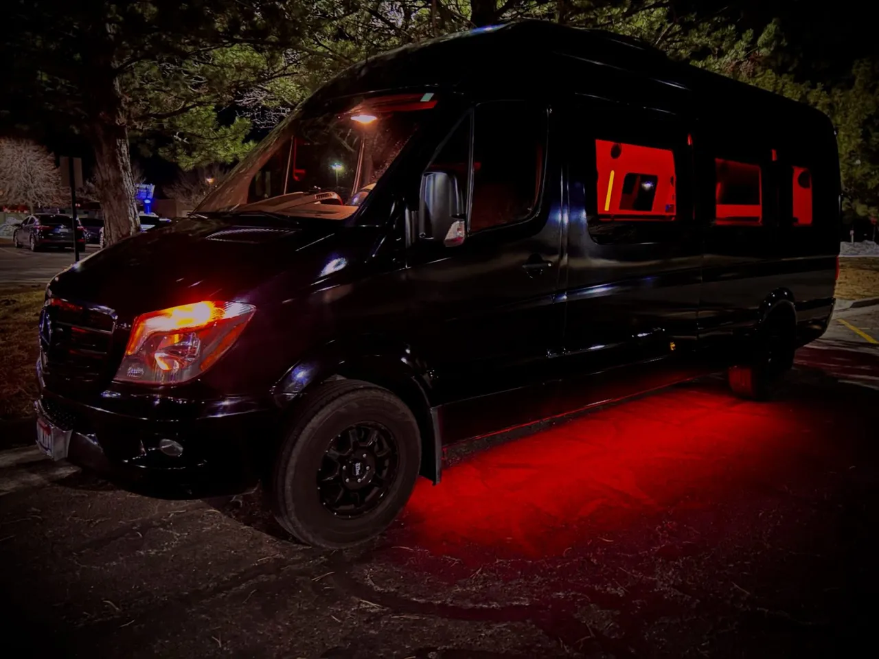 Black 12 Passenger Mercedes-Benz Party Bus, photo 4 for party bus rental Black 12 Passenger Mercedes-Benz Party Bus, photo 4 for party bus rental