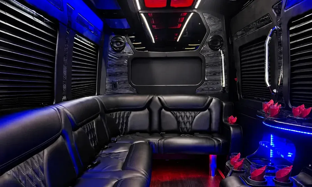 Black 14 Passenger Sprinter Party Bus, photo 2 for party bus rental Black 14 Passenger Sprinter Party Bus, photo 2 for party bus rental