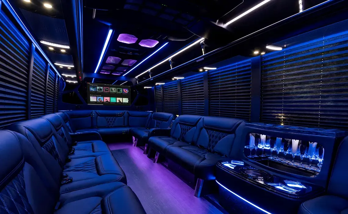 18 Passenger Party Bus for party bus rental 18 Passenger Party Bus for party bus rental