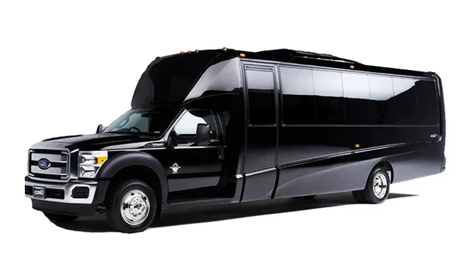 18 Passenger Party Limousine Bus for party bus rental 18 Passenger Party Limousine Bus for party bus rental