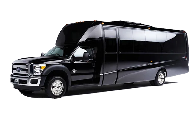 18 Passenger Party Limousine Bus for party bus rental 18 Passenger Party Limousine Bus for party bus rental