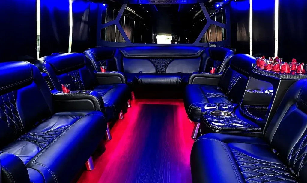 White 18 Passenger Party Bus for party bus rental White 18 Passenger Party Bus for party bus rental