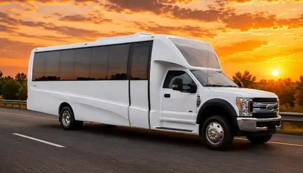 White 18 Passenger Party Bus for party bus rental White 18 Passenger Party Bus for party bus rental