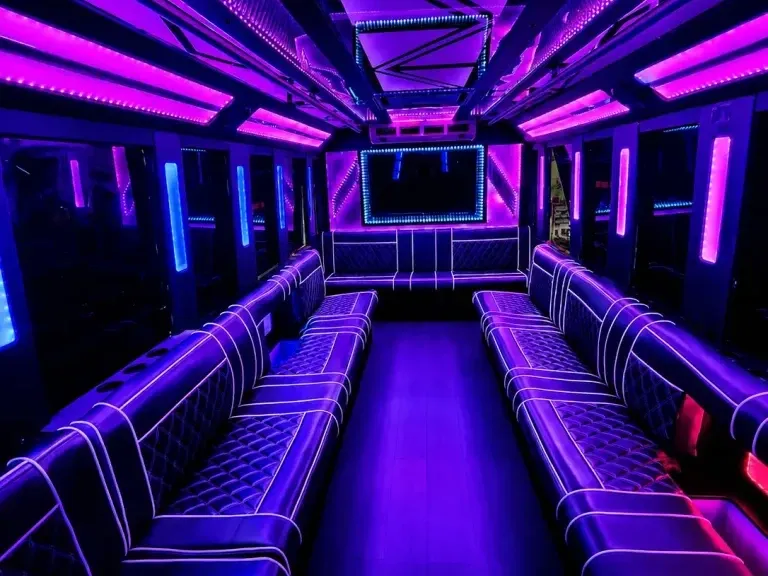 White 20 Passenger Party Bus, photo 2 for party bus rental White 20 Passenger Party Bus, photo 2 for party bus rental