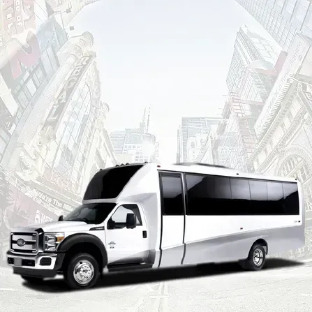 20 Passenger Party Bus for party bus rental 20 Passenger Party Bus for party bus rental