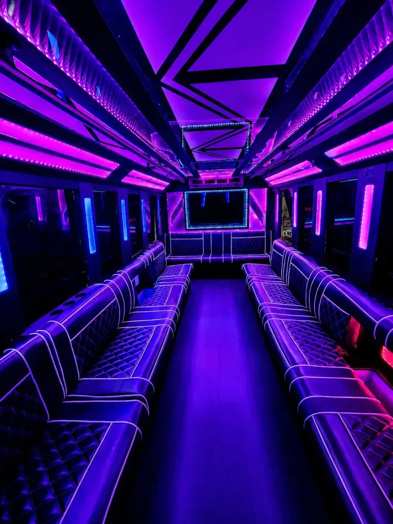 White 20 Passenger Party Bus, photo 2 for party bus rental