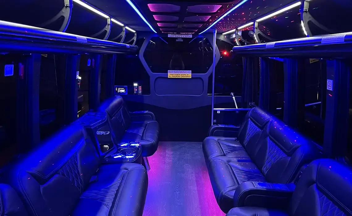 24 Passenger Party Bus, photo 2 for party bus rental 24 Passenger Party Bus, photo 2 for party bus rental