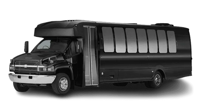 30-Passenger Party Bus for party bus rental