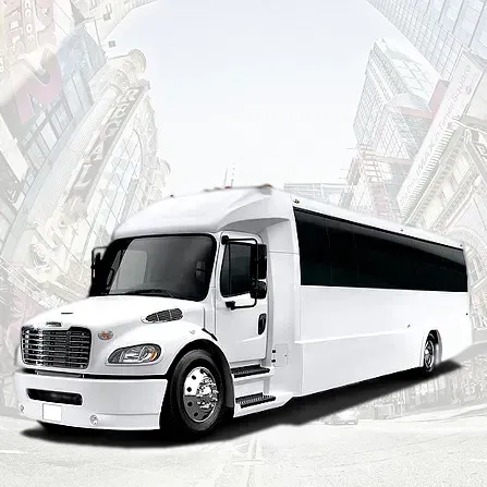 37 Passenger Party Bus for party bus rental 37 Passenger Party Bus for party bus rental