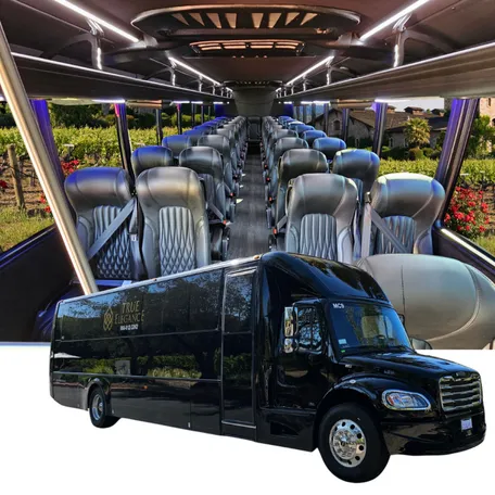 Black Executive Shuttle for minibus rental Black Executive Shuttle for minibus rental