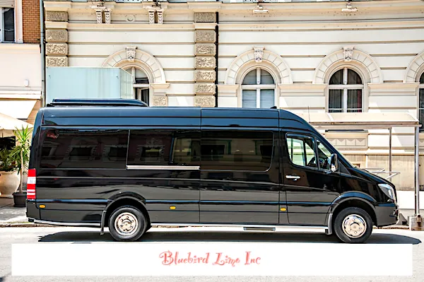 12 Passenger Charter Sprinter for minibus rental 12 Passenger Charter Sprinter for minibus rental