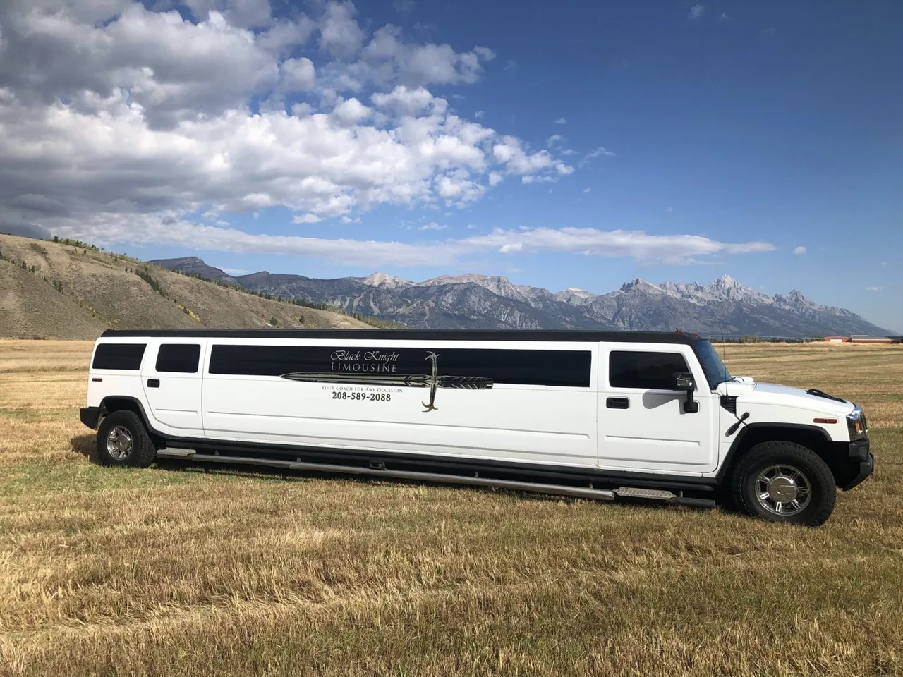 White ALL NYT - Stretch Hummer