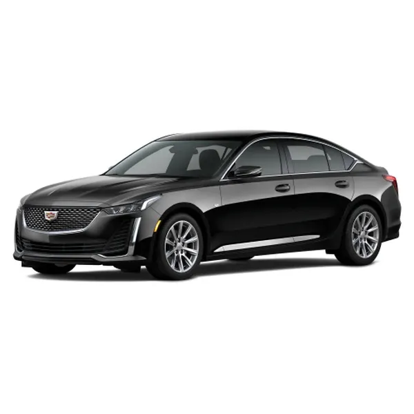 Cadillac Luxury Sedan for black car service in Big Pine Key, FL Cadillac Luxury Sedan for black car service in Big Pine Key, FL
