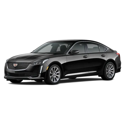 Cadillac Luxury Sedan for sedan rental