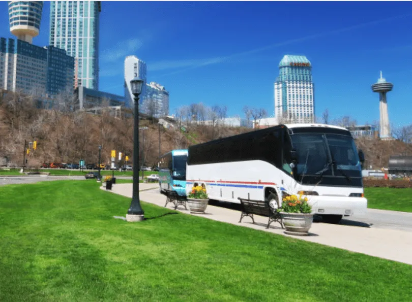 White Charter Bus