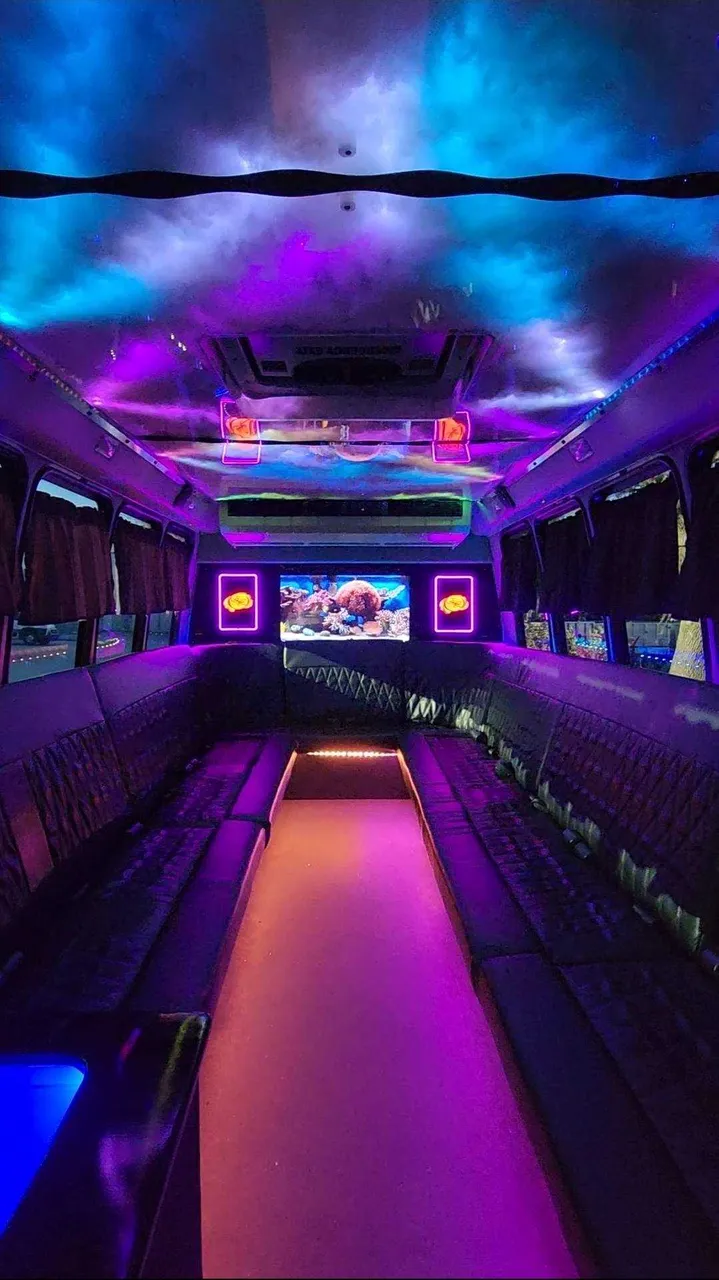 Dark Shadow /2019 ( 20 Passenger Luxury Party Bus interior, photo 2 for party bus rental in Cedar Springs, MI