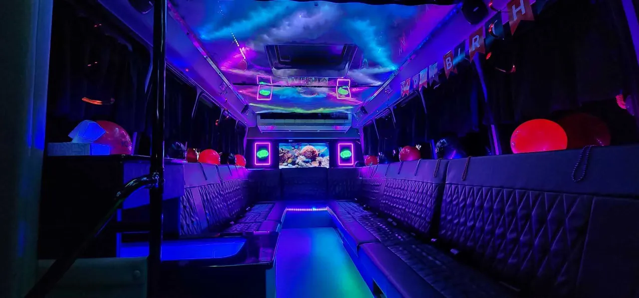 20 Passenger Luxury Party Bus interior for bachelorette party transport