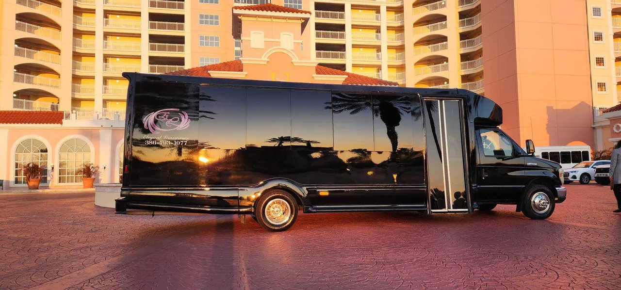 Black Dark Shadow /2019 ( 20 Passenger Luxury Party Bus exterior, photo 5 for party bus rental in Cedar Springs, MI