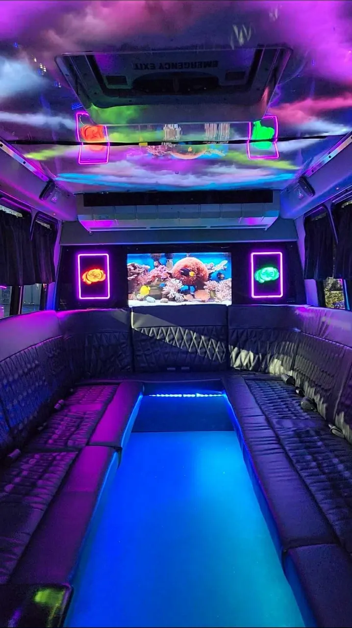 Dark Shadow /2019 ( 20 Passenger Luxury Party Bus interior for party bus rental in Cedar Springs, MI