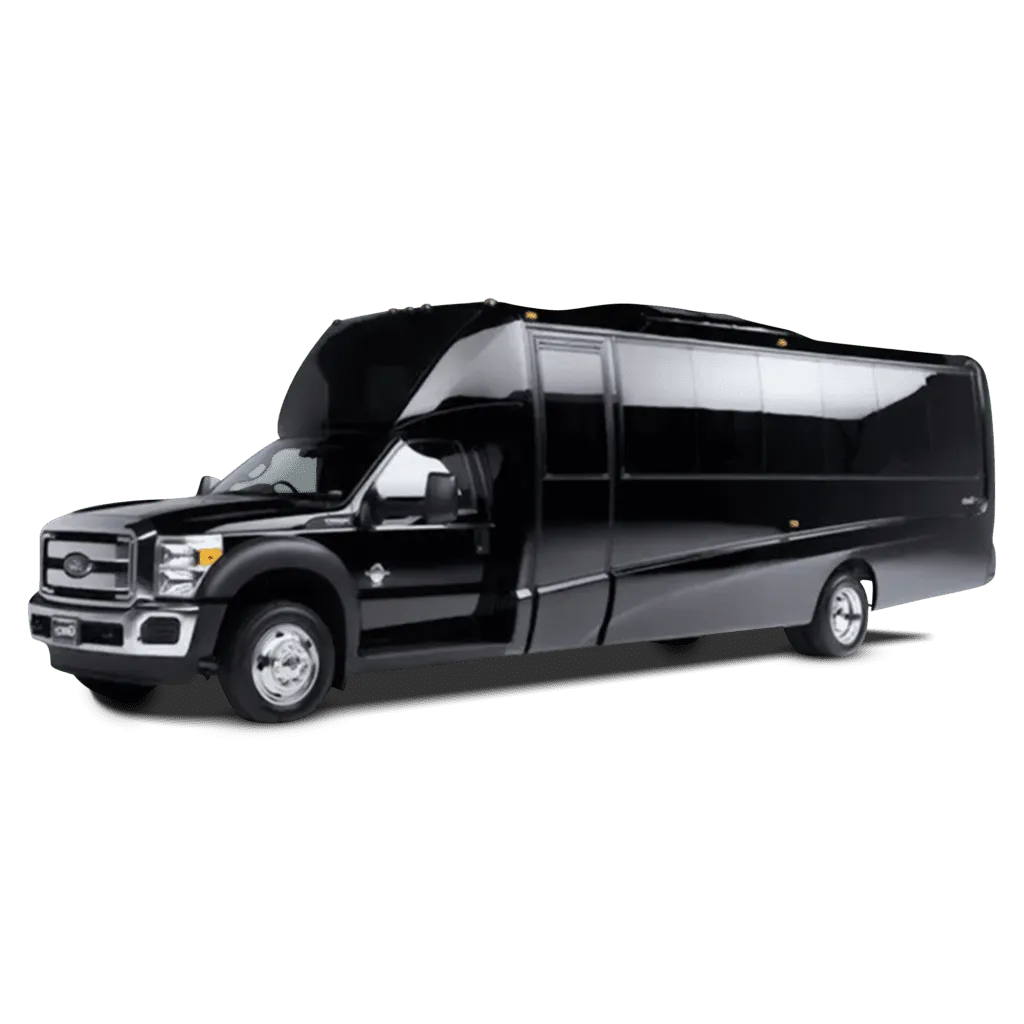 Executive Mini Bus for minibus rental Executive Mini Bus for minibus rental