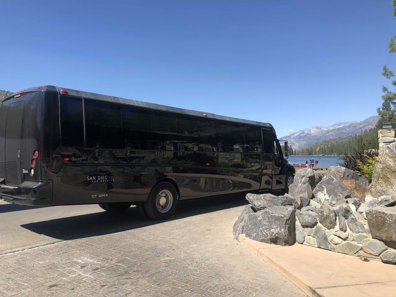 Black Executive Mini-Coach, photo 3 for minibus rental in Valley Farms, AZ