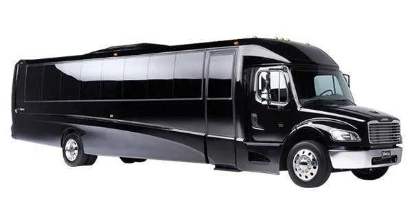 Executive Mini Coach