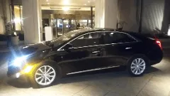 Executive Sedan- 2 pax for sedan rental in South West City, MO