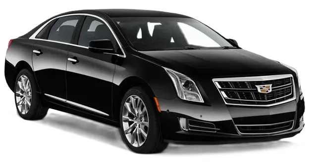 Black Executive Sedan for sedan rental Black Executive Sedan for sedan rental