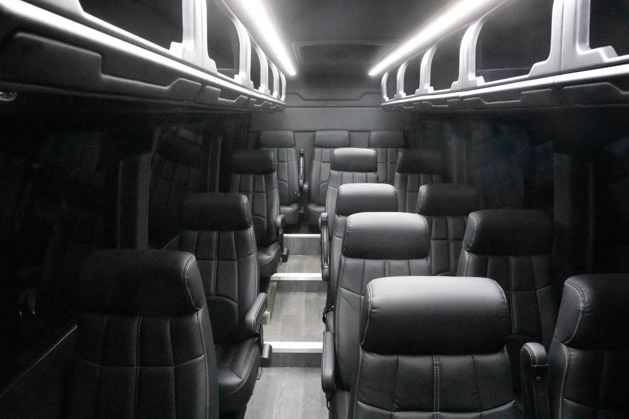 Black Executive sprinter van- 14 pax, photo 2 for mini coach rental in Fedscreek, KY