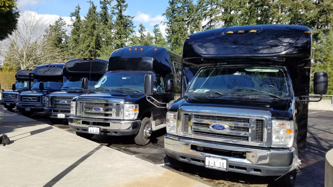 Black Ford E450 Executive VIP Shuttle Bus(24 Passengers) exterior, photo 3 for winery tour transport in Montana