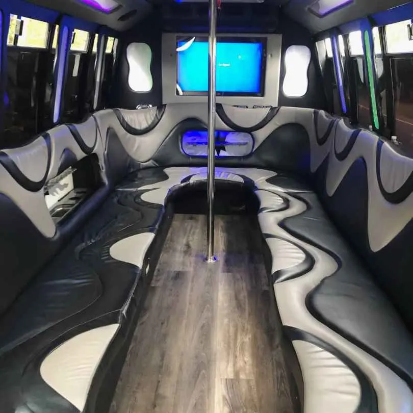 Ford Party Bus interior, photo 2 for party bus rental in Eastanollee, GA
