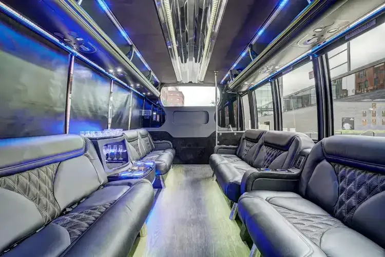 Grech Party Bus interior, photo 2 for party bus rental in Cedar Springs, MI
