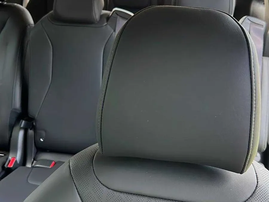 Brown Kia Carnival, photo 2 for minibus rental Brown Kia Carnival, photo 2 for minibus rental