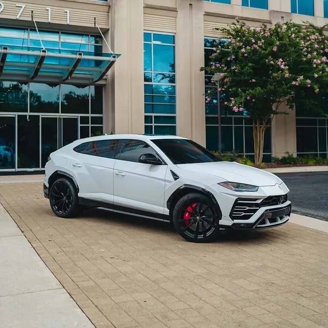 Lamborghini Urus Ibis White, photo 2 for wedding car rental in Rockville, MD Lamborghini Urus Ibis White, photo 2 for wedding car rental in Rockville, MD