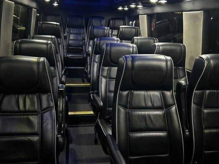 Black Mercedes-Benz Executive Sprinter, photo 2 for minibus rental Black Mercedes-Benz Executive Sprinter, photo 2 for minibus rental