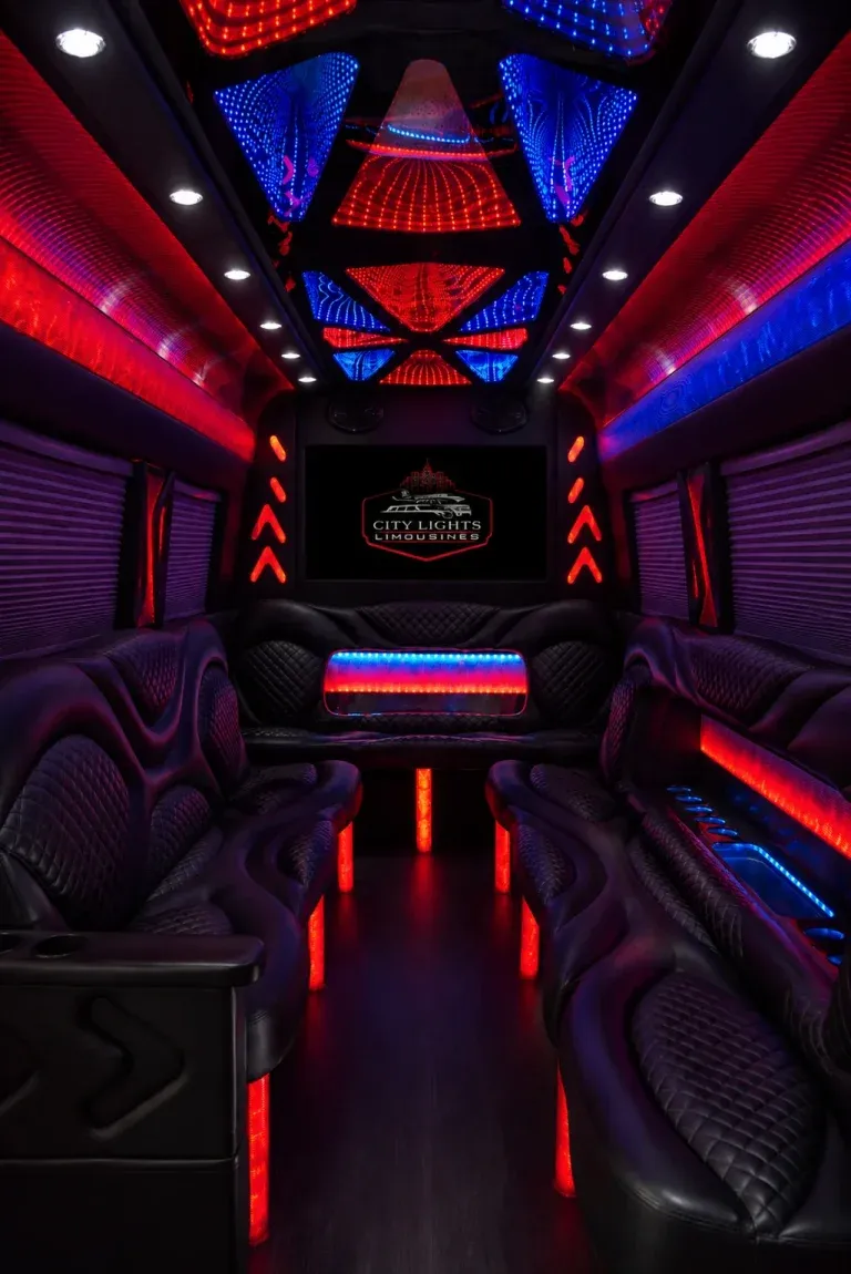 Mercedes-Benz Metris interior, photo 6 for minibus rental Mercedes-Benz Metris interior, photo 6 for minibus rental