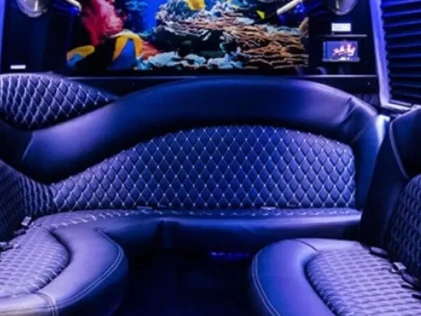 Mercedes-Benz Sprinter Limousine for party bus rental Mercedes-Benz Sprinter Limousine for party bus rental
