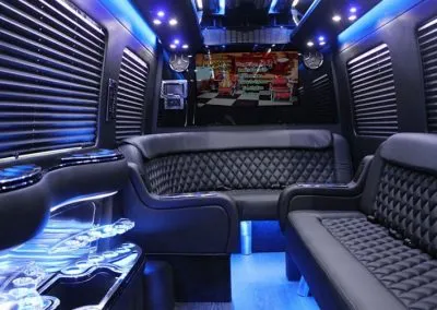 Mercedes-Benz Sprinter Limousine interior, photo 2 for cadillac escalade limo in Madison, MN
