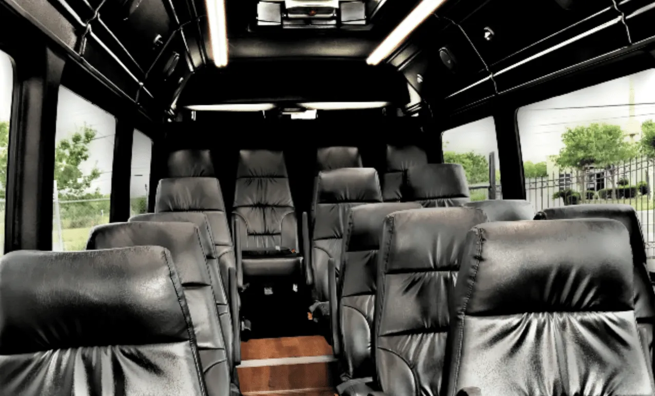 Black Mercedes Exec Sprinter, photo 2 for minibus rental in Bordelonville, LA