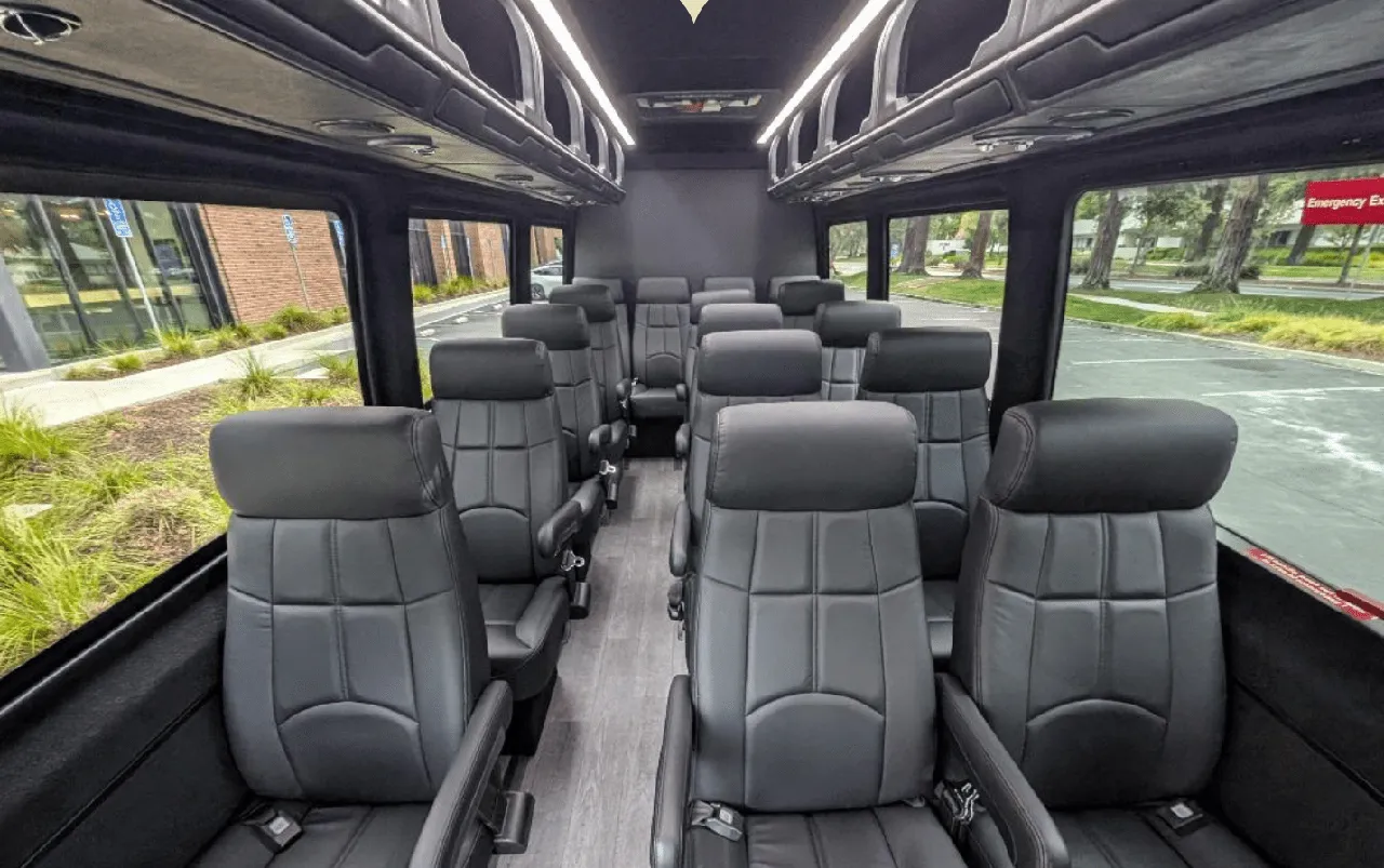 Black Mercedes Executive Sprinter, photo 2 for mercedes sprinter rental in Bass Lake, CA