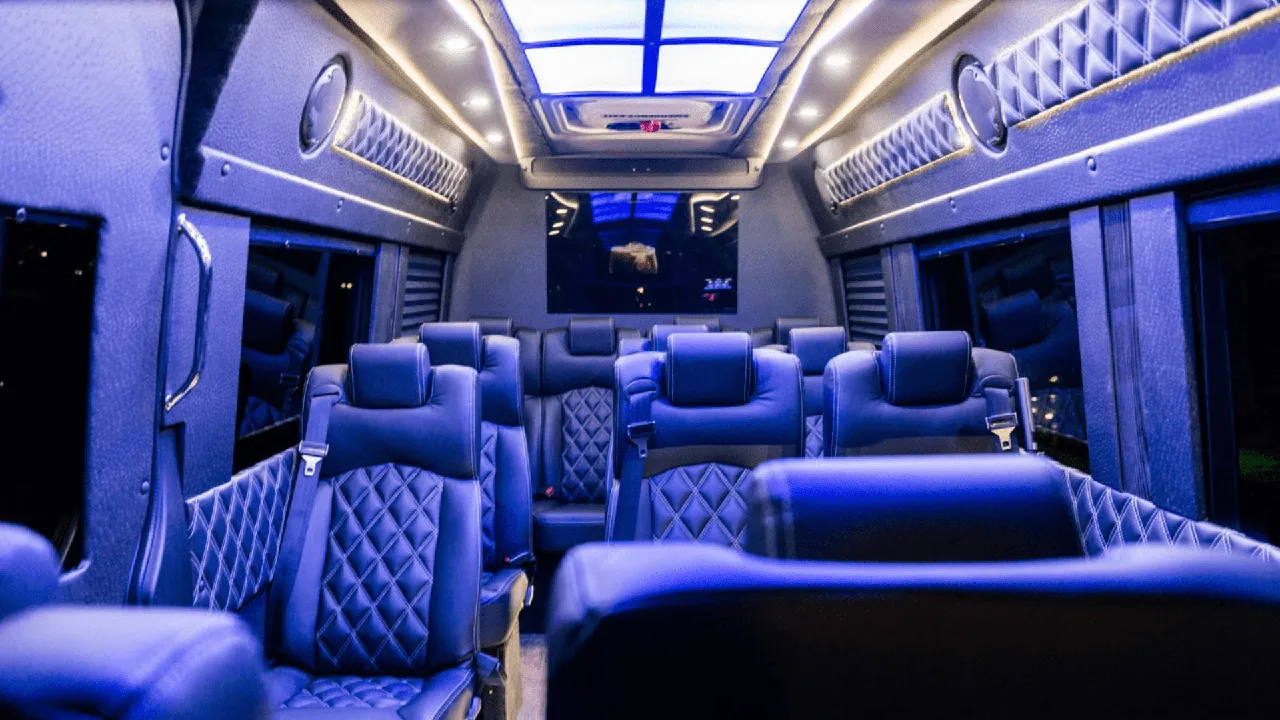 Black Mercedes Executive Sprinter, photo 2 for mini coach rental in Rotterdam Junction, NY