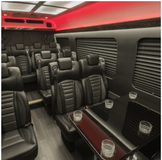 Black Mercedes Executive Sprinter, photo 5 for mini coach rental in Coltons Point, MD
