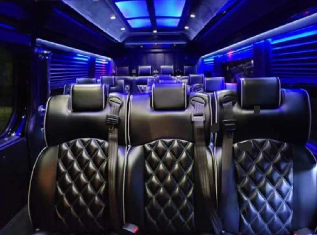 Mercedes Executive Sprinter interior with captain's chairs, window shades and LED accent lighting for mini coach rental in Branch, MI