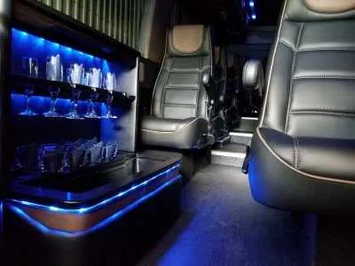 Black Mercedes Executive Sprinter, photo 2 for mini coach rental in Smock, PA