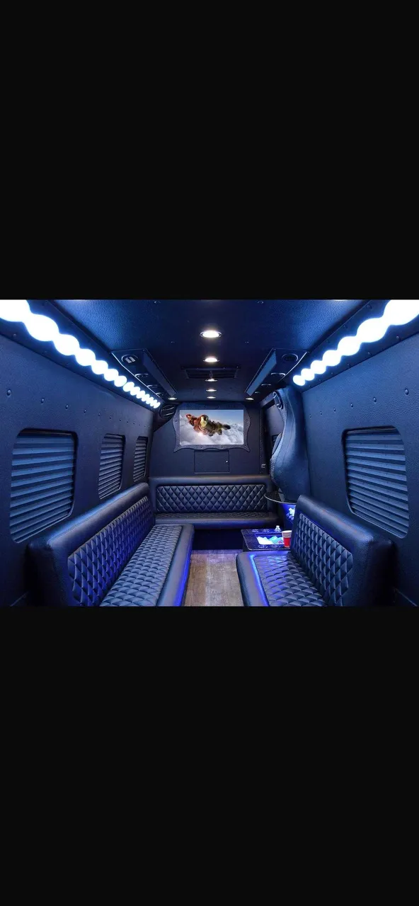 Mercedes Limo Coach interior, photo 2 for party bus rental in Brownsville, MN