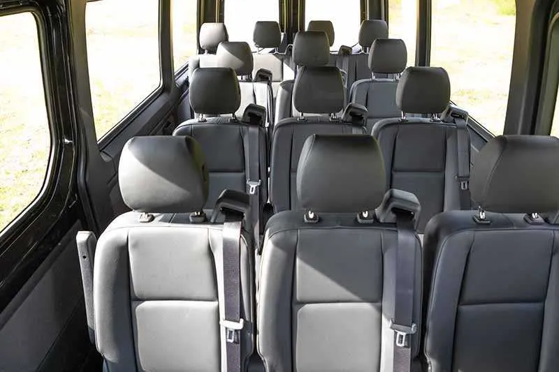 Black Mercedes sprinter- 14 pax, photo 4 for mini coach rental in Fletcher, NC