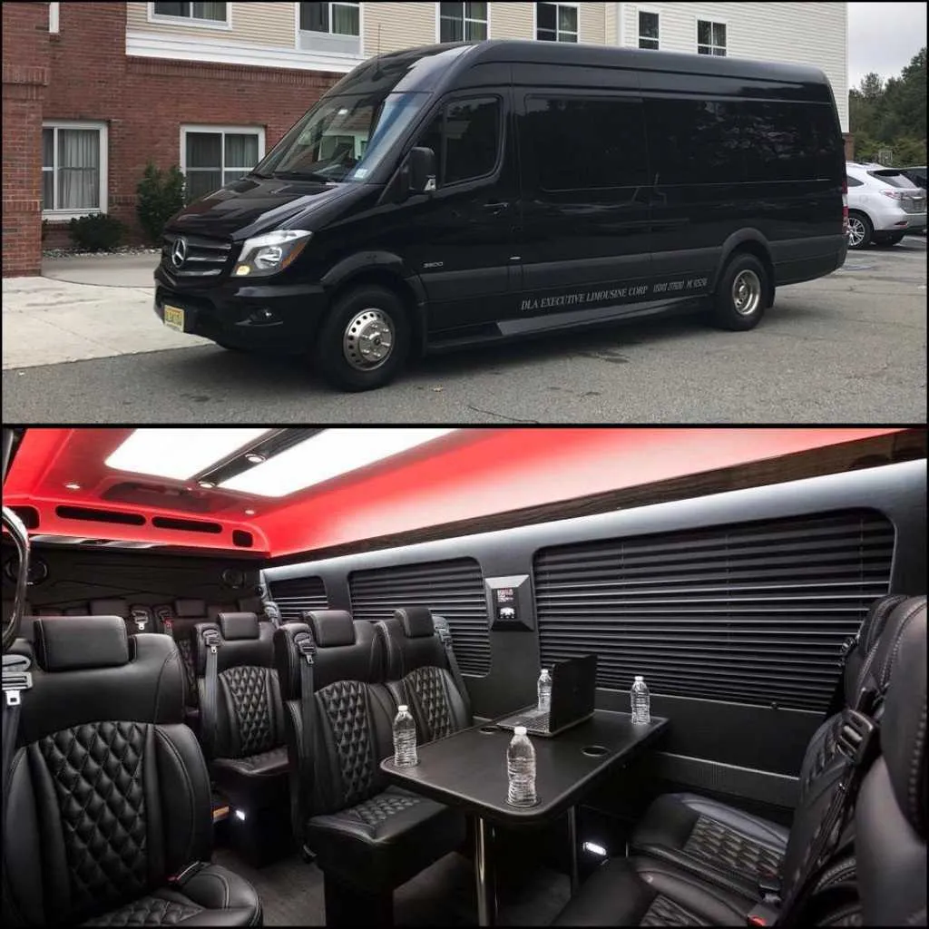 Black Mercedes Sprinter for mini coach rental in Franklin, NY