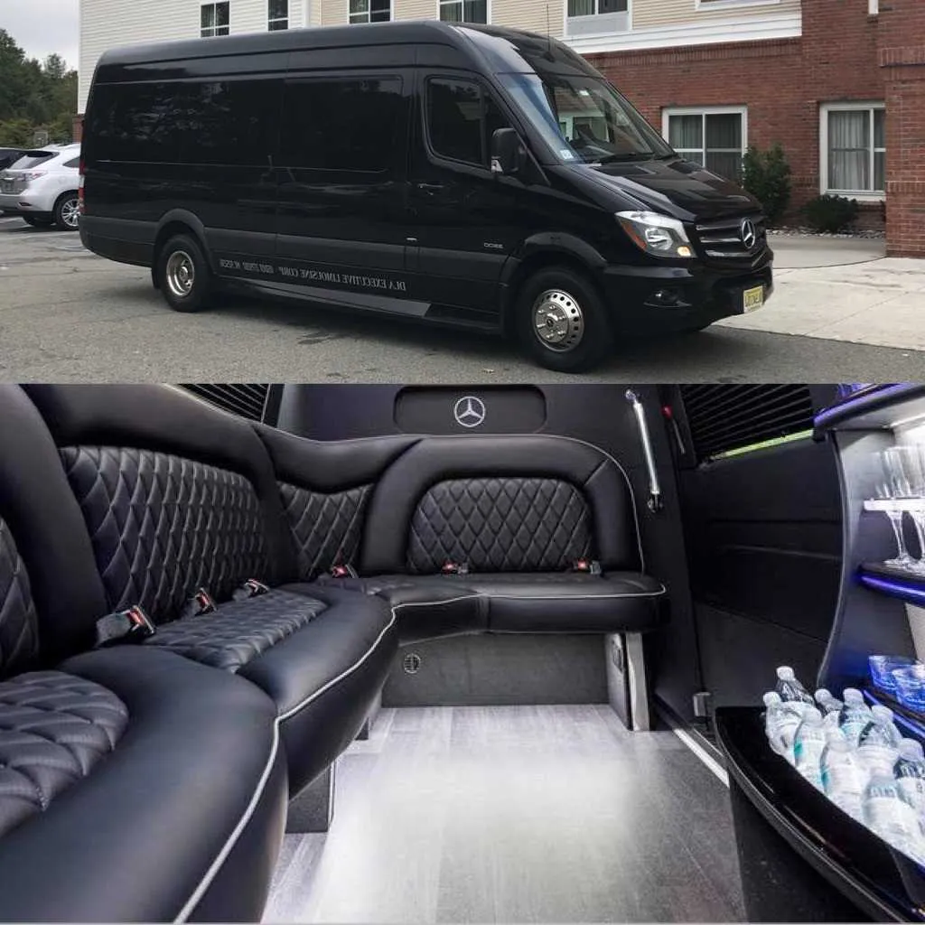Black Mercedes Sprinter, photo 2 for mini coach rental in Franklin, NY