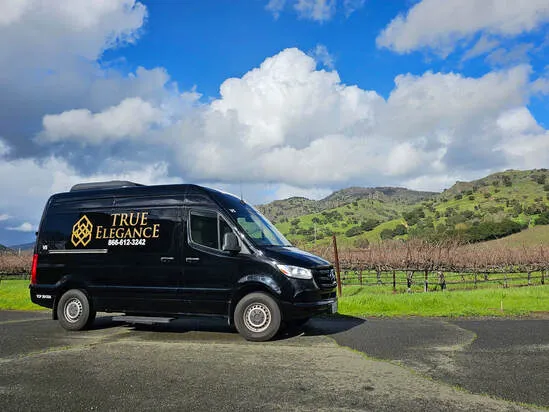 Mercedes-Benz Sprinter Executive Van for minibus rental Mercedes-Benz Sprinter Executive Van for minibus rental