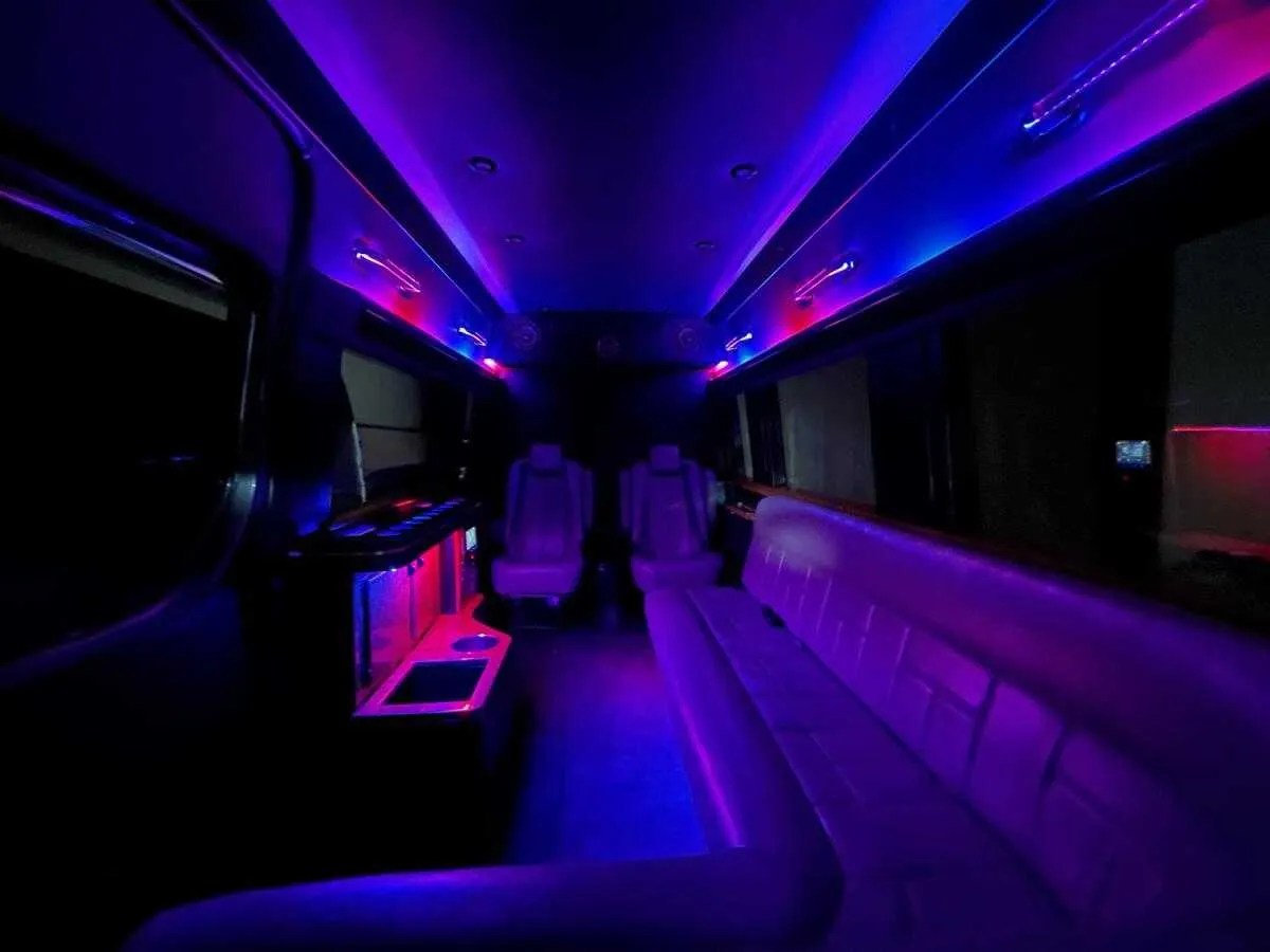 Mercedes Sprinter Limo interior, photo 3 for party bus rental in Reidsville, GA